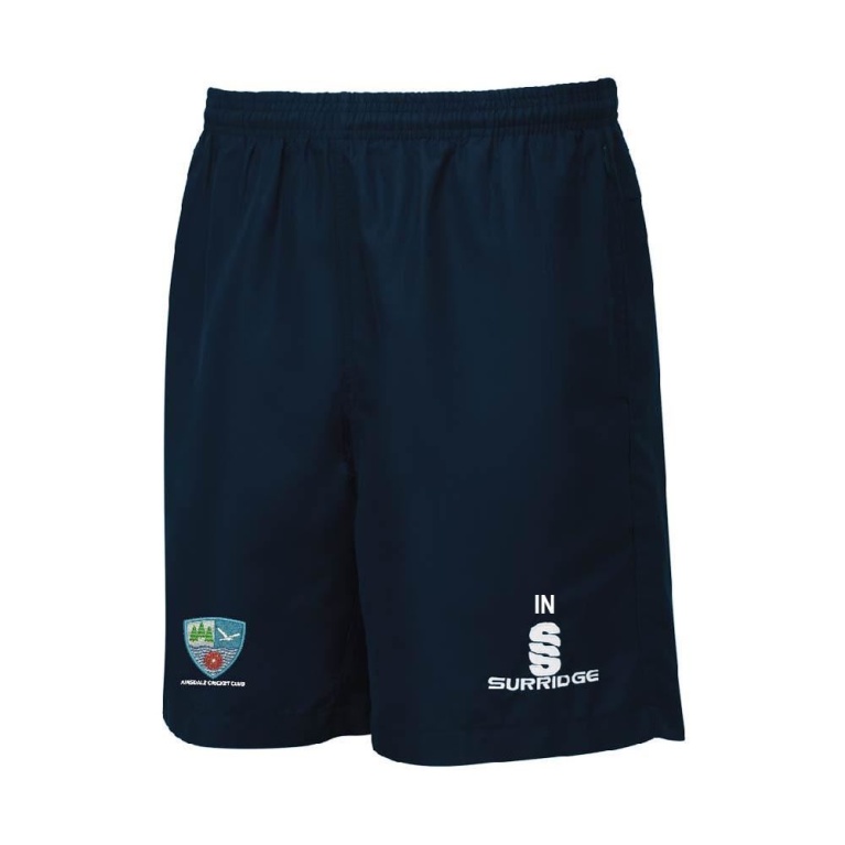 Blade Shorts : Navy